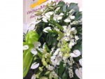 Bu Nga Orchid