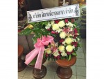 Bu Nga Orchid