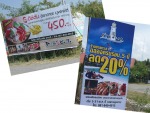 ใบเฟิร์นโฆษณา