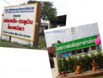 ใบเฟิร์นโฆษณา
