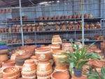 Bamboo Shop