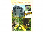 Bankamnan Resort Chaingkan