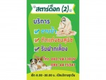 สตาร์ด็อก (2)-ตัดแต่งขนสัตว์ ลำปาง
