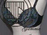 Gamma Industries Co Ltd