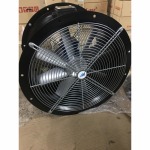 Fan International Co Ltd