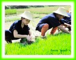 Sukhothai Travel Service Co Ltd