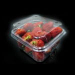 Thai Ho Sheng Packing Co Ltd