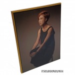 กรอบลอยขอบทอง - โรงงานผลิตกรอบรูปวิทยาศาสตร์ ยู.พี. เรซิ่น แอนด์ เคมีคอล