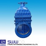 Strong Water Works Engineering Co., Ltd.
