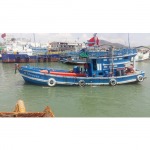 Thai Pramual Oil Co Ltd