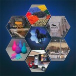 Zeal Chemicals Co Ltd