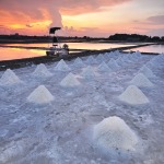 เกลือ - ห้างหุ้นส่วนจำกัด วรวัฒน์ ยูเนี่ยน ซอลท์ 