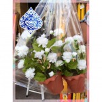 จำหน่ายดอกไม้พลาสติก อุบลราชธานี - เครื่องสังฆภัณฑ์ อุบล วารินธรรมภัณฑ์
