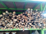 Sup Olan 9 Co Ltd