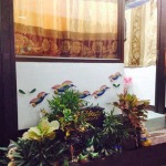 สำนักงานกฎหมาย - สำนักงานกฎหมาย อัมรา ทนายความ