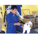 อาบน้ำ  - โรงพยาบาลสัตว์บ้านพัทยา