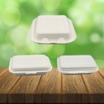 Upackgreenvision Co Ltd