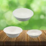 โรงงานผลิต ถ้วยโฟม - บริษัท ยูแพคกรีนวิชชั่น จำกัด