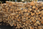 Sincharoen Veneer and Plywood Co Ltd