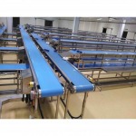 L K Food Engineering Co Ltd