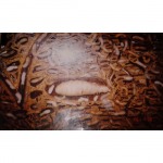 นางพญาปลวก - ห้างหุ้นส่วนจำกัด เอส พี เซอร์วิส เพสท์คอนโทรล 