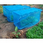 Pongchianthong Plasticnetting  Co Ltd