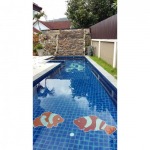 TW Pools & Construction LP