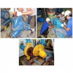 Suwajun Service Co Ltd