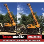 Construction Machinery Rental Phuket Sophon Service