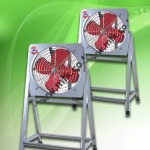 Fan Factory-Mongkol Thavornkit