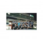 ฟิล์มกรองแสงอาคาร - บริษัท ธรรมพุทธรักษา จำกัด