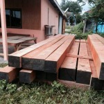 ไม้ฝา - เสาวณีย์ ค้าไม้