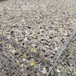 The Next Foam Co Ltd