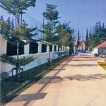 งานภูมิทัศน์ - บริษัท วรายุส์ คอนสตรัคชั่น จำกัด