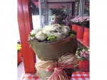 Rosa Rose Flower Phuket