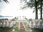 Rosa Rose Flower Phuket
