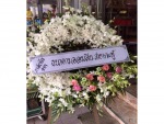Rosa Rose Flower Phuket