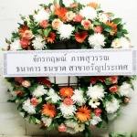 ดอกไม้แทนใจ สุรินทร์
