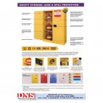 D N S Safety