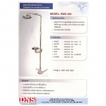 D N S Safety