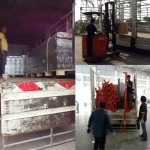 Visan Transport