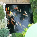 D Garden Design
