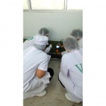 วางระบบป้องกันและกำจัดปลวก - เอสที เคมีคอล เซอร์วิส จำกัดปลวกสงขลา ภาคใต้