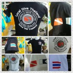 รับปักเสื้อโลโก้ - แคลิฟอร์เนีย งานปัก