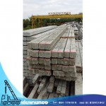 Den Phanthong Co Ltd