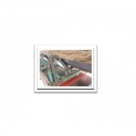 Perfect Scale Co Ltd