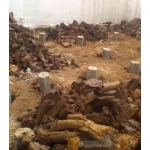 Changkwan Piling