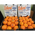 ผลไม้พรีเมี่ยม ตลาดไท - ร้าน จำหน่ายผลไม้นำเข้า ตลาดไท -  ฉ.ฮั้ว