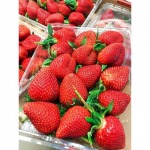 สตรอเบอร์รี่ - ร้าน จำหน่ายผลไม้นำเข้า ตลาดไท -  ฉ.ฮั้ว