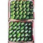 อะโวคาโด - ร้าน จำหน่ายผลไม้นำเข้า ตลาดไท -  ฉ.ฮั้ว